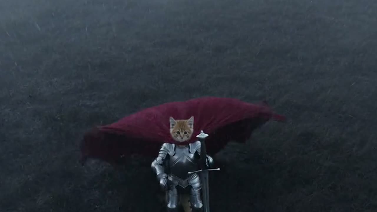 How to make a knight cat AI video: step-by-step guide