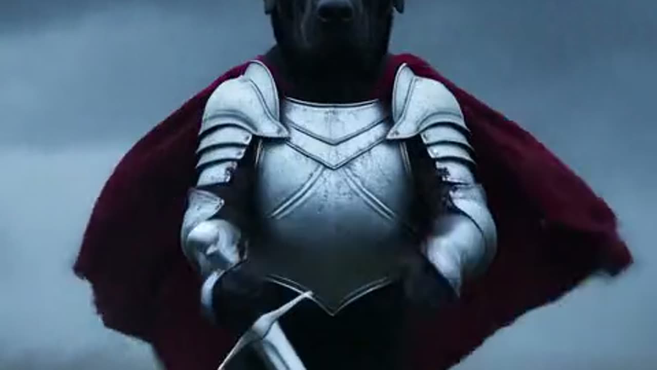 Knight Cat AI Video Download: MP4 Format and Credits